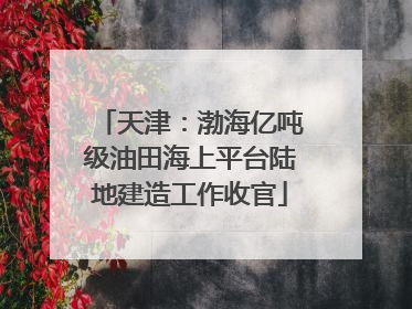 天津：渤海亿吨级油田海上平台陆地建造工作收官